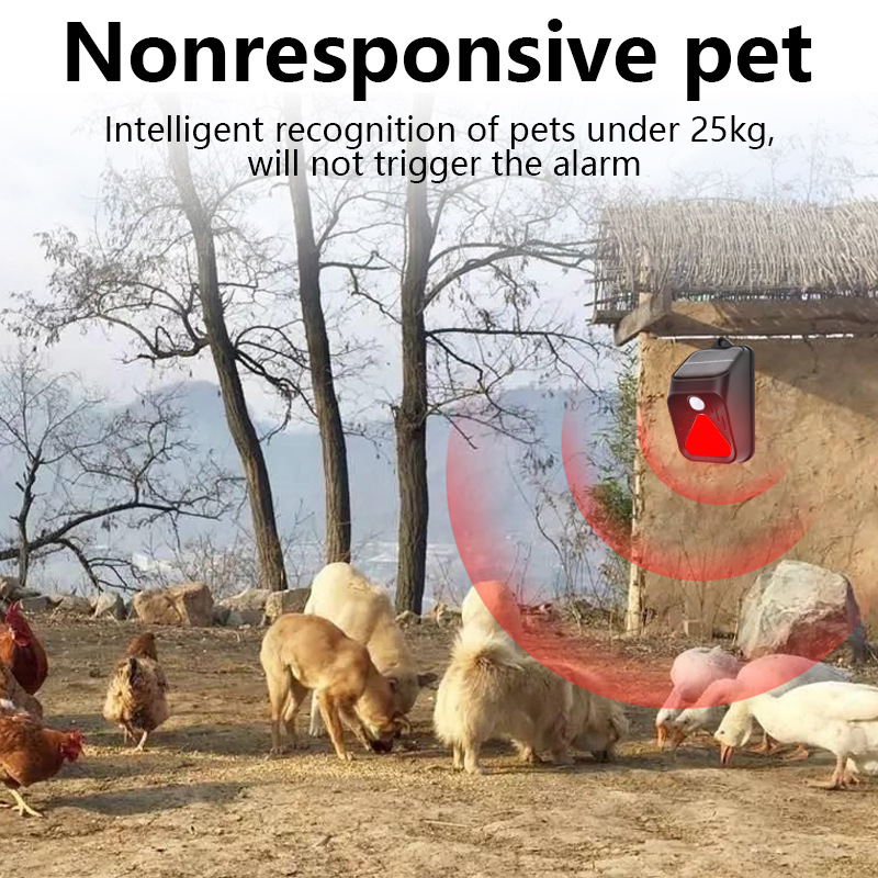 Solar Powered Waterproof Alarm - Home Security Yard Sensors review and price