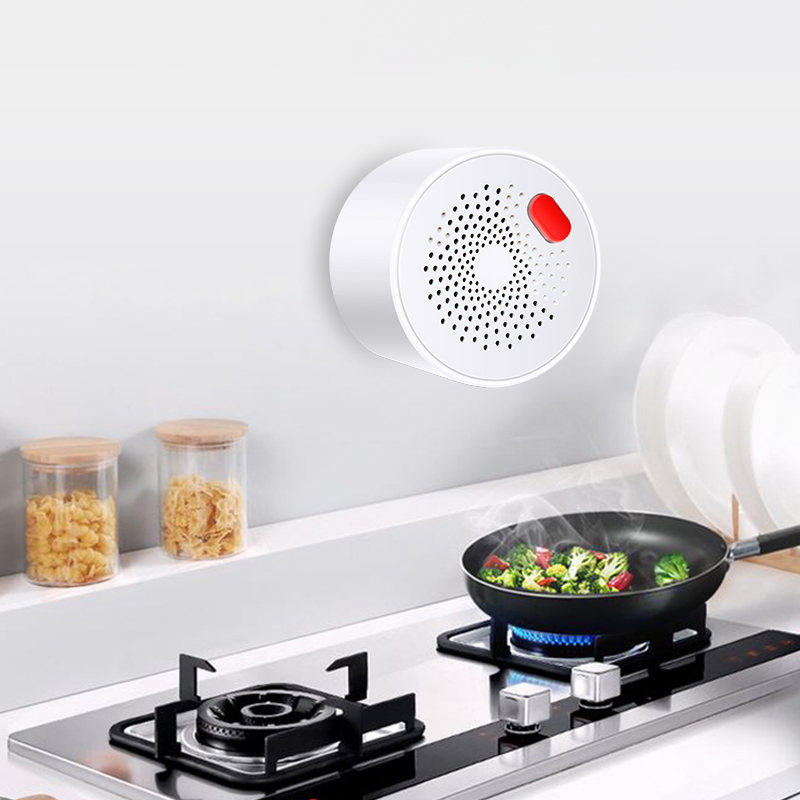 Tuya Smart Home Wifi Natural G - Home Security Business review and price