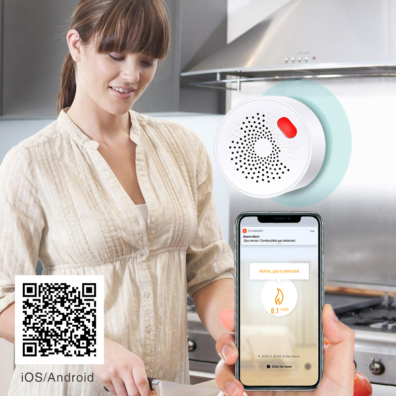 Tuya Smart Home Wifi Natural G - Home Security Business review and price